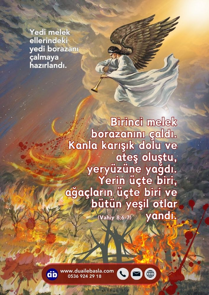 Vahiy 8 Yerin üçte biri, ağaçların üçte biri yandı
