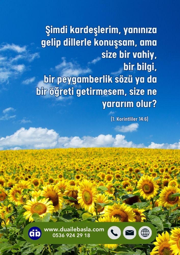 Şimdi kardeşlerim, yanınıza gelip dillerle konuşsam, ama size bir vahiy, bir bilgi, bir peygamberlik sözü ya da bir öğreti getirmesem, size ne yararım olur? (1. Korintliler 14: 6)