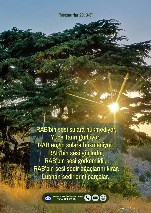 (Mezmurlar 29: 3-5) RAB’bin sesi güçlüdür, RAB’bin sesi görkemlidir. RAB’bin sesi sedir ağaçlarını kırar, Lübnan sedirlerini parçalar.