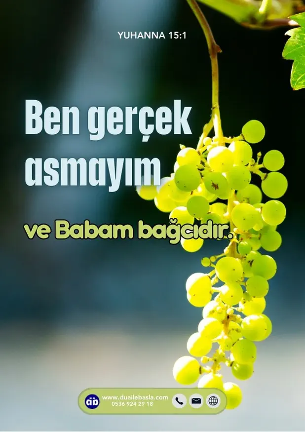 (Yuhanna 15) Ben gerçek asmayım ve Babam bağcıdır.