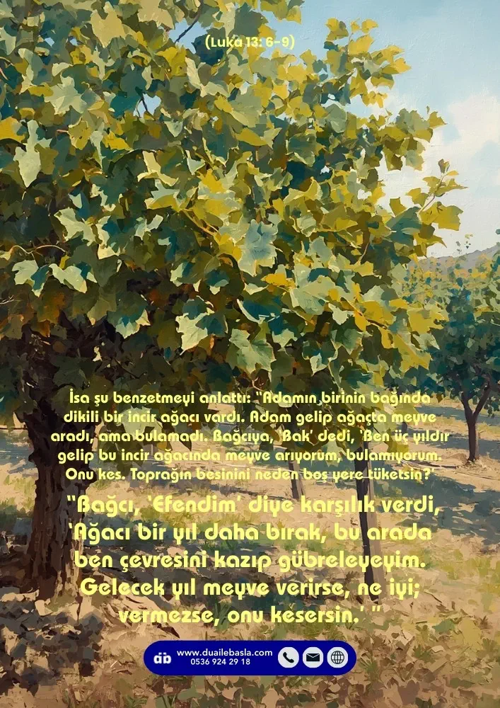 (Luka 13: 6-9) “Bağcı, ‘Efendim’ diye karşılık verdi, ‘Ağacı bir yıl daha bırak, bu arada ben çevresini kazıp gübreleyeyim.