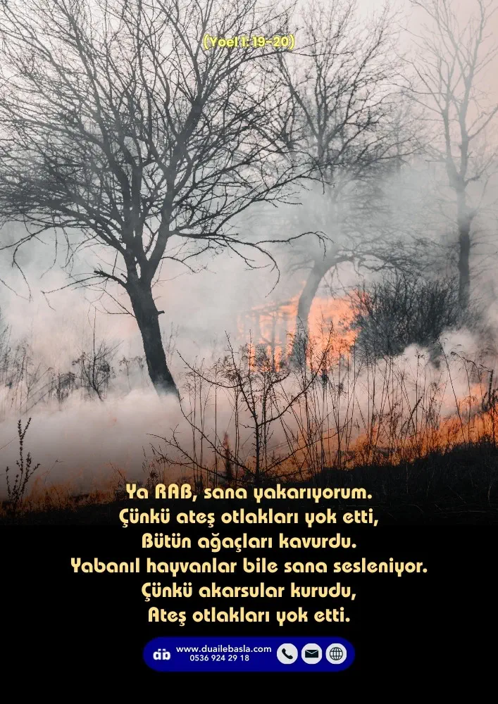 (Yoel 1: 19-20) Ya RAB, sana yakarıyorum. Çünkü ateş otlakları yok etti, Bütün ağaçları kavurdu.