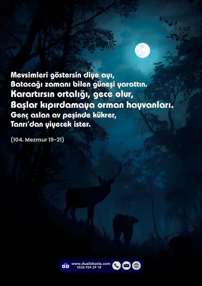 (104. Mezmur 19-21) Karartırsın ortalığı, gece olur, Başlar kıpırdamaya orman hayvanları. Genç aslan av peşinde kükrer, Tanrı’dan yiyecek ister.